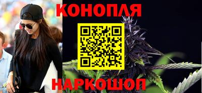 прущие крисы Бердск
