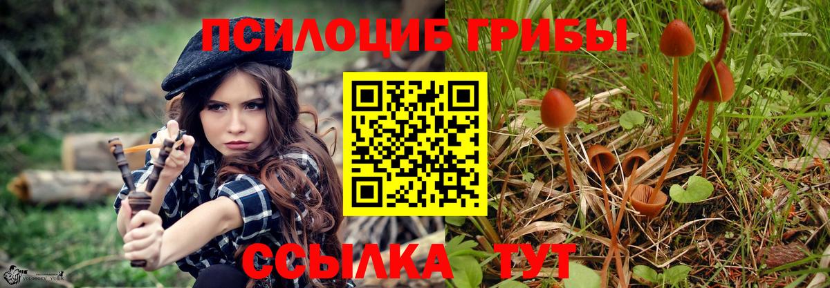 Псилоцибиновые грибы GOLDEN TEACHER  Галлюциногенные грибы прущие грибы  Великий Новгород  Вход с VPN 